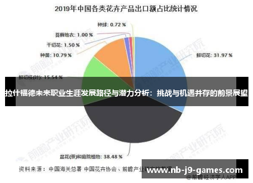 拉什福德未来职业生涯发展路径与潜力分析：挑战与机遇并存的前景展望