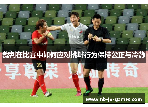 裁判在比赛中如何应对挑衅行为保持公正与冷静